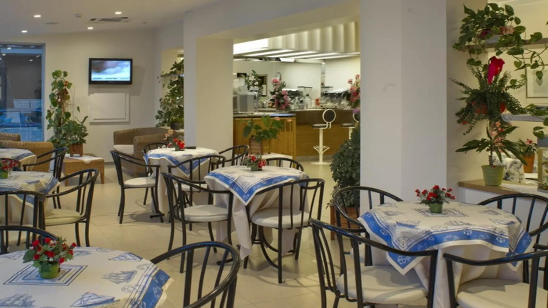 **  ריצ'יונה Hotel Nives איטליה
